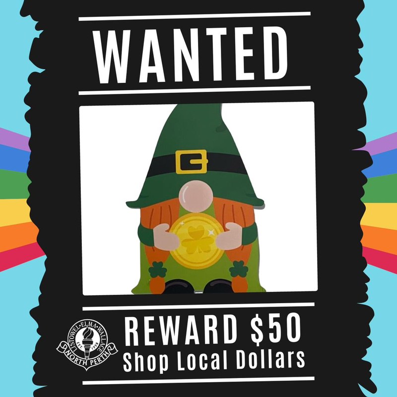 Operation Leprechaun Pursuit poster