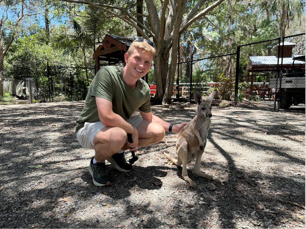 Kangaroo, Gold Coast