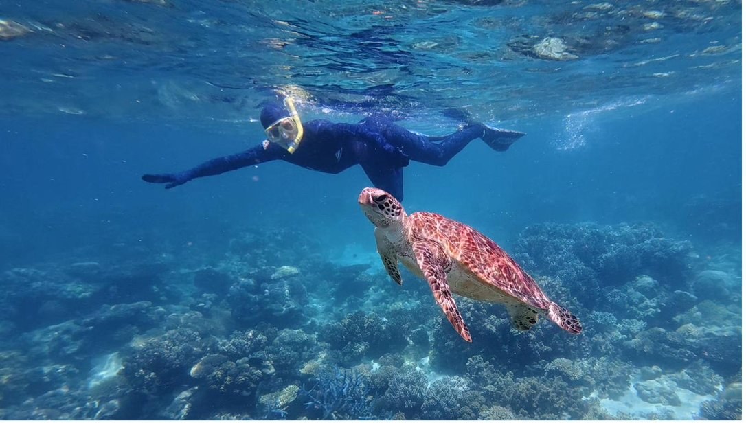Snorkelling with a sea turtle