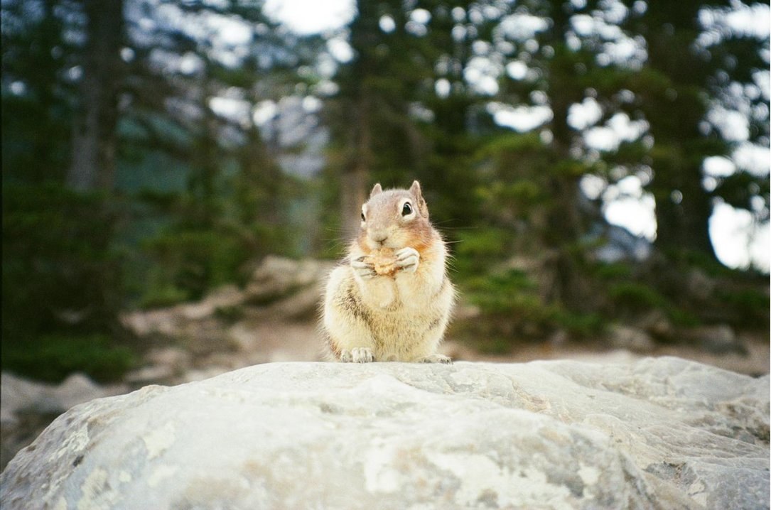 Moraine Lake, Banff National Park