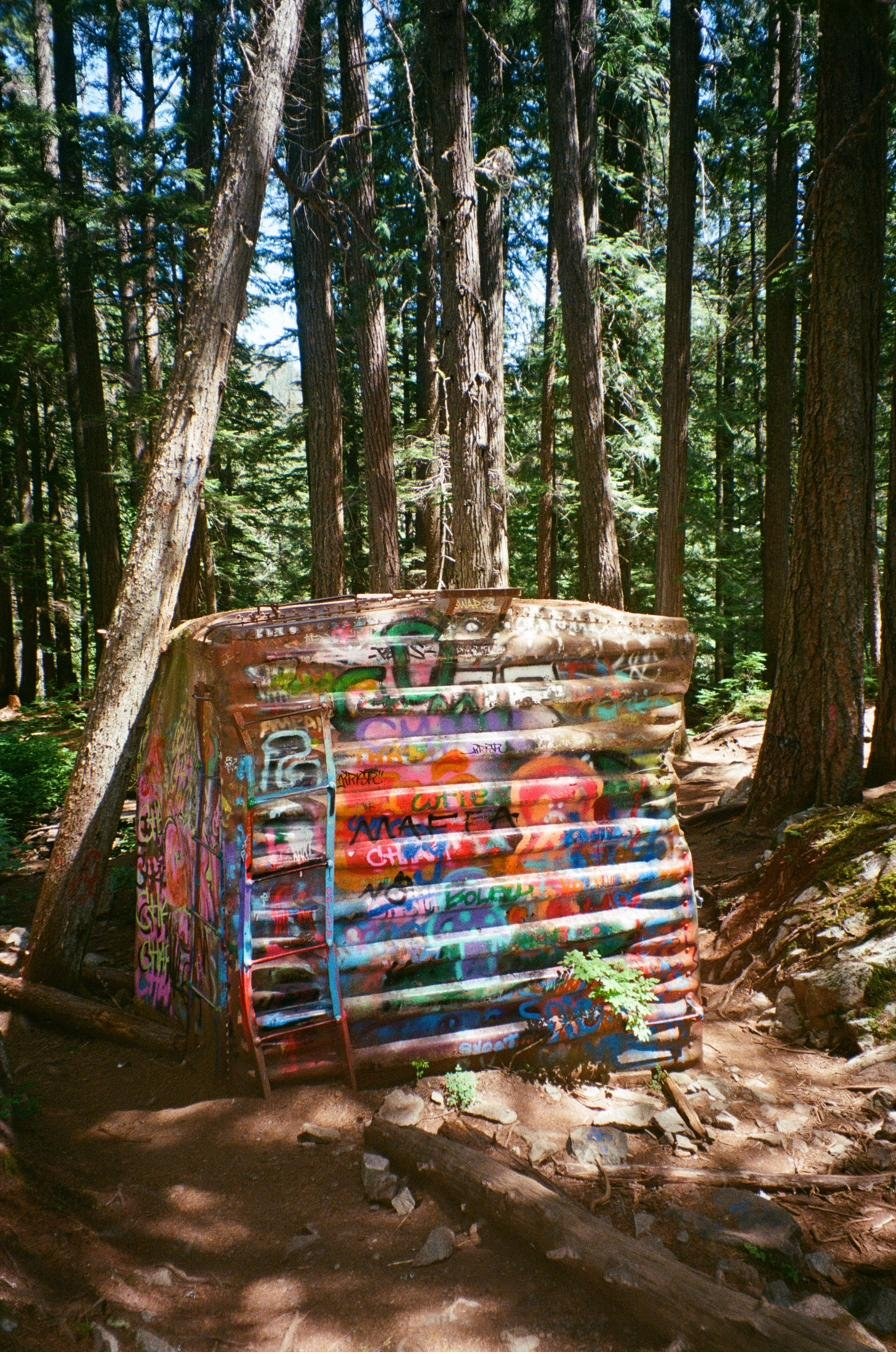 Train Wreck Trail, Whistler