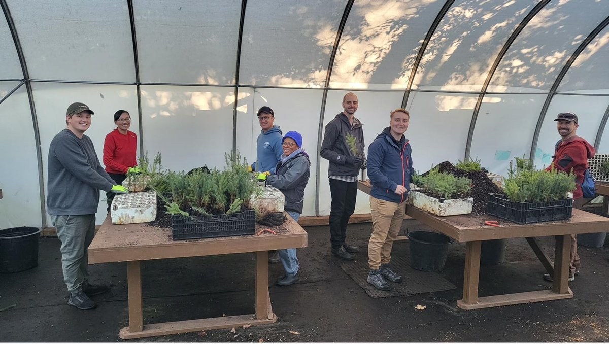 Team tree planting at Wellington County's Green Legacy greenhouse